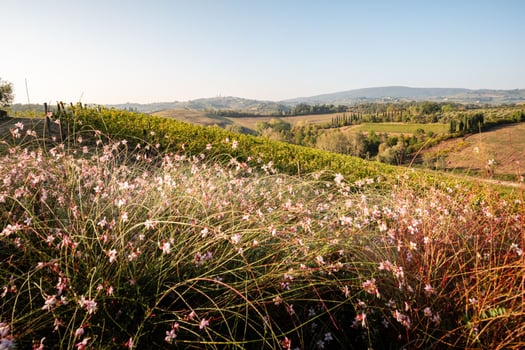 Pacchetto Primavera Benessere Mormoraia 2
